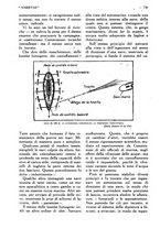 giornale/CFI0307758/1918/unico/00000780