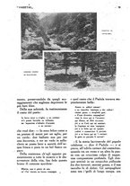 giornale/CFI0307758/1919/unico/00000088