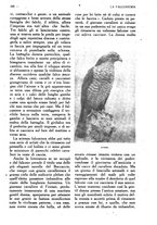 giornale/CFI0307758/1919/unico/00000179