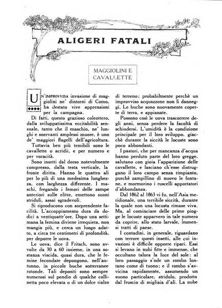 Varietas rivista illustrata