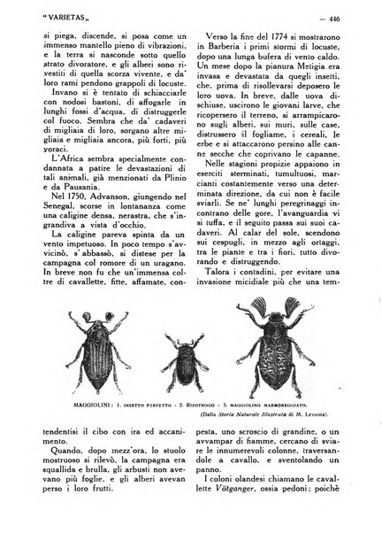 Varietas rivista illustrata