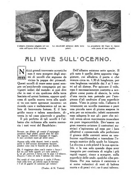 Varietas rivista illustrata