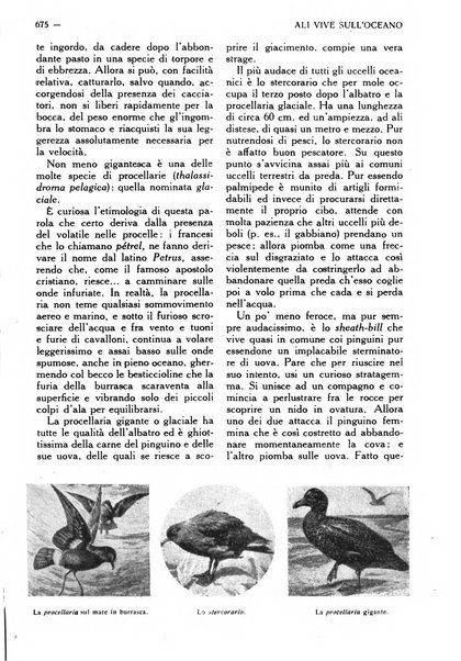 Varietas rivista illustrata