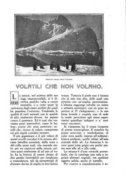 Varietas rivista illustrata