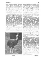 giornale/CFI0307758/1919/unico/00000778