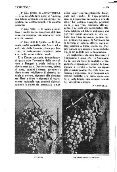 Varietas rivista illustrata