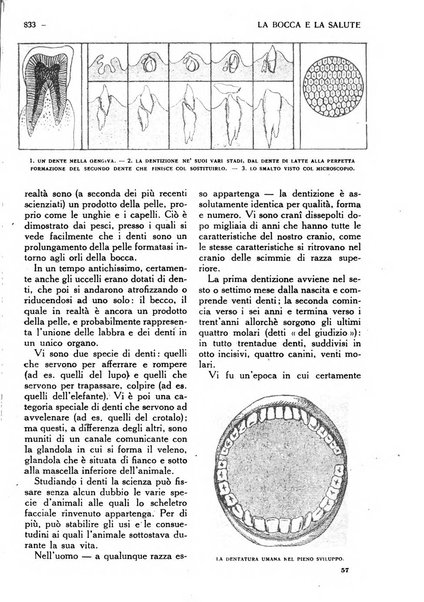 Varietas rivista illustrata