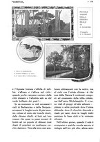 giornale/CFI0307758/1920/unico/00000172