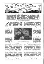 giornale/CFI0307758/1920/unico/00000174