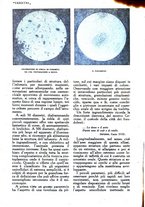 giornale/CFI0307758/1920/unico/00000518