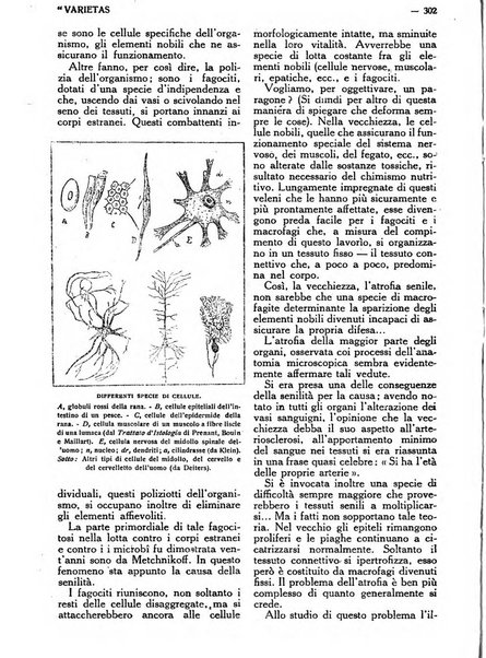 Varietas rivista illustrata