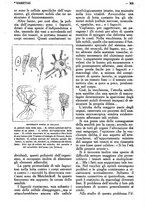 giornale/CFI0307758/1921/unico/00000388