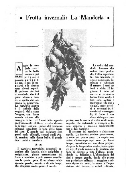 Varietas rivista illustrata