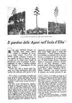 giornale/CFI0307758/1922/unico/00000183