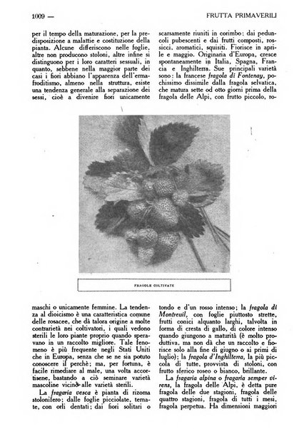 Varietas rivista illustrata