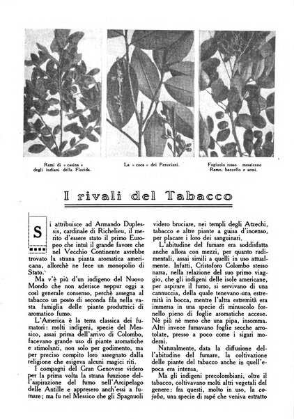 Varietas rivista illustrata