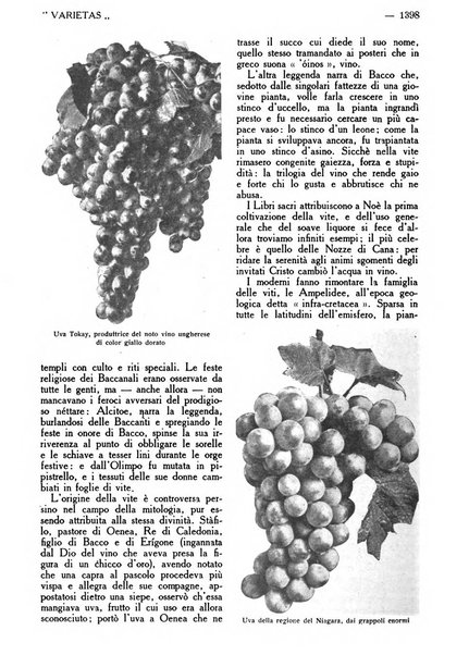 Varietas rivista illustrata