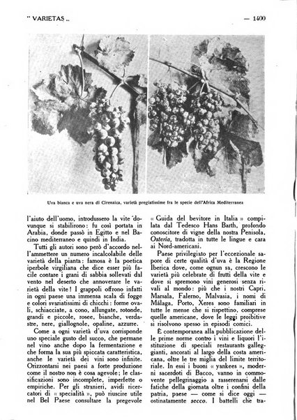 Varietas rivista illustrata