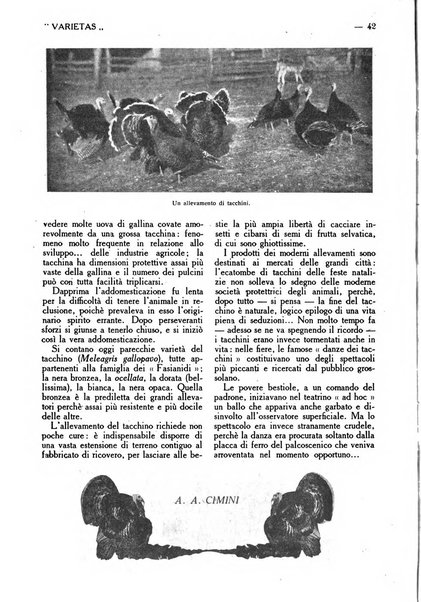 Varietas rivista illustrata