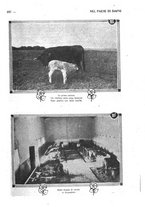 giornale/CFI0307758/1923/unico/00000251
