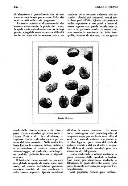 Varietas rivista illustrata