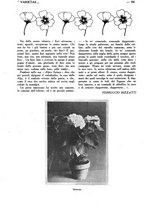 giornale/CFI0307758/1923/unico/00000316