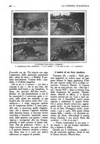 giornale/CFI0307758/1923/unico/00000493