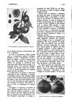 giornale/CFI0307758/1923/unico/00000638