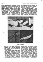 giornale/CFI0307758/1924/unico/00000037
