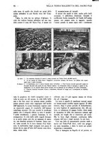 giornale/CFI0307758/1924/unico/00000095