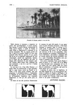 giornale/CFI0307758/1924/unico/00000247