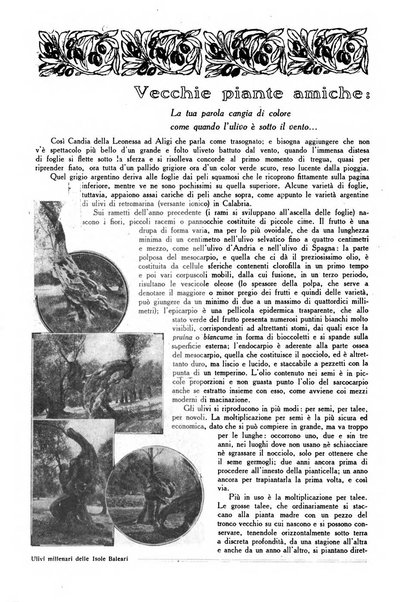 Varietas rivista illustrata