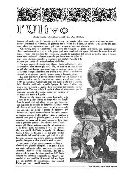 Varietas rivista illustrata