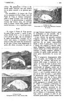 giornale/CFI0307758/1924/unico/00000446