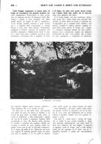 giornale/CFI0307758/1924/unico/00000733
