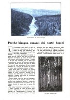 giornale/CFI0307758/1924/unico/00000735