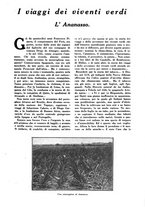 giornale/CFI0307758/1925/unico/00000111