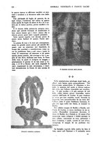 giornale/CFI0307758/1925/unico/00000131