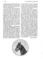 giornale/CFI0307758/1925/unico/00000613