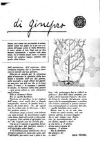 giornale/CFI0307758/1926/unico/00000011