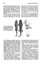giornale/CFI0307758/1926/unico/00000217