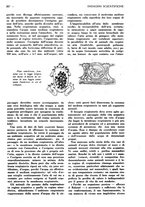 giornale/CFI0307758/1926/unico/00000219
