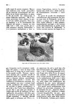 giornale/CFI0307758/1926/unico/00000297