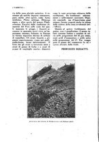 giornale/CFI0307758/1926/unico/00000298