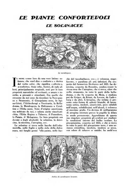 Varietas rivista illustrata