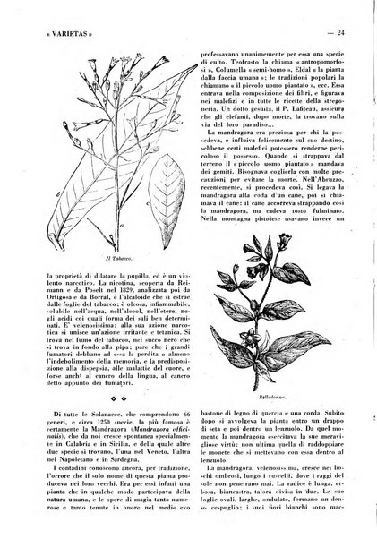 Varietas rivista illustrata