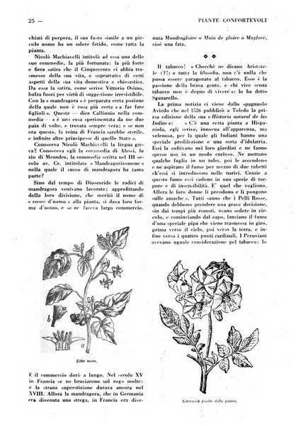 Varietas rivista illustrata