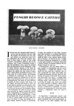 giornale/CFI0307758/1927/unico/00000149