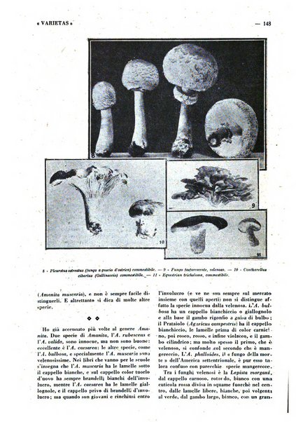 Varietas rivista illustrata