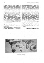 giornale/CFI0307758/1927/unico/00000153